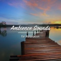 Relaxing Music for Meditation、Powerthoughts Meditation Club、Dr. Meditation - Sleep Aiding Binaural Beats