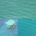 Lotide - Am I Changed
