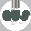 Paul Woolford - Holy Ghost