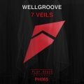 WellGroove - 7 Veils