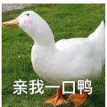 小卿 - What is love (Remix)