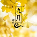 颜妹 - 通过验证