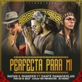 Dante Damage、Natan、Shander - Perfecta para Mi