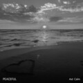 Massage Music、Zen Meditation、Pilates Workout、Natural White Noise - Birds at Sea