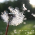 Deep Sleep Meditation、Sleep Waves、Sleep Baby White Noise - Gentle Rain on Pavement