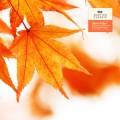 Carl Maria Von Weber - Weber: Barcarolle (Nture Ver.)