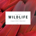 Wildlife - Unique Music Selection, Vol. 6