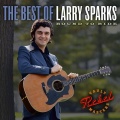 larry sparks - Smoky Mountain Memories