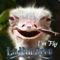 Lil Nate Dogg - I'm Fly (Explicit)