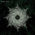 Main Leaf - Hermosa