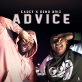 Advice (Explicit)