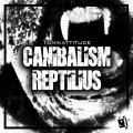 Tonikattitude - Hypnosius