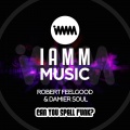 Damier Soul、Robert Feelgood - Can You Spell Funk?