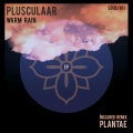 Plusculaar - Troubadour