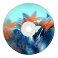 Koyla - Catdzur (Primat Remix)
