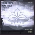 Tolga Top、Adam Touch - Nina On Acid