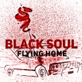 Blacksoul - A Reason