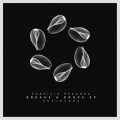 Fabricio Pecanha - Breaks & Drops