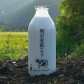 半崎美子 - 明日を拓こう