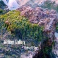 William Gallery - Bring It On