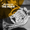 Collegium Musicum Of Prague - Hunting Fanfares for Three Horns: I. Terezian fanfare
