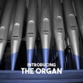Ludmilla Golub、Alfred Schnittke - Short Pieces for Organ