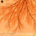 Los Teques - Seeds of Change (Daze Foxx Remix)