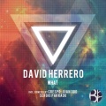 david herrero - What (Crespo Remix)