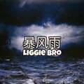 Liggie Bro - 暴风雨REMIX