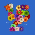 Posy - Love Explained