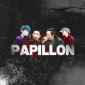 霍荞 - Papillon