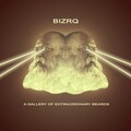 Bizrq - Schneider