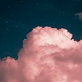 LU_2、NEKO、L.Li - 피카부
