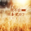 木兮 - 思忆
