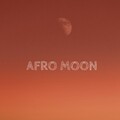 Alan De Laniere - Believe Me (Tribalizer Mix)(Remix)