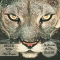 The Bestseller、Grove Park - Feel So Good (Original Mix)(Remix)