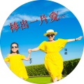张鹤 - 绿色中国