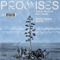 Promises (Sonny Fodera Remix)