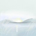 鲤羽Lyka - 白露谣