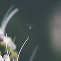 Arctica - (Awakening)