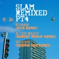 Dot Allison、slam - Visions (Cosmin TRG Remix)