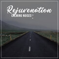 Best Relaxing Spa Music、Spa Music Collection、Relaxing Zen Spa - Binaural Delta Waves