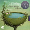 Piek、Piek_、Bjerk Peterson - Nasty (Pawas Remix)(Feat. Bjerk Peterson)