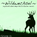 Yoram - In the Shade (Jonas Saalbach Remix)