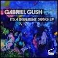 Gabriel Gush、Valerio Turchetti - Disco Love
