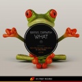 Bassel Darwish - What