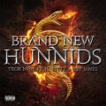 Brand New Hunnids (Explicit)