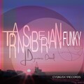 Dynamic David - Transiberian Funky