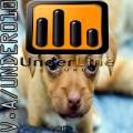 Alahin、Natalia Damini - Feelin' the Love (Da Silva & Lino Dub Mix)