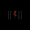 Foreign Forest - Run Me Over